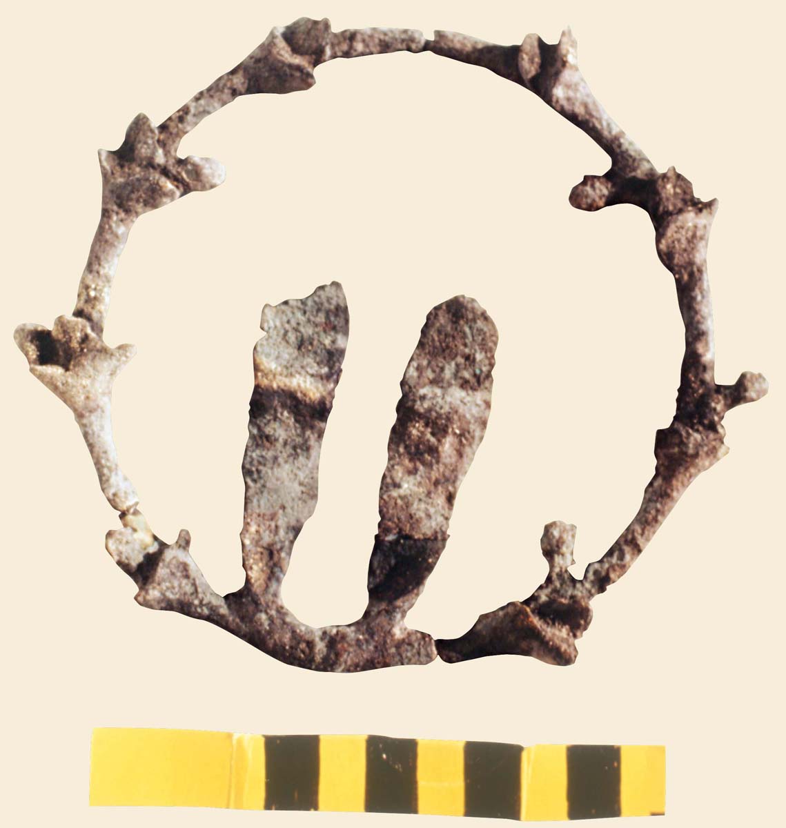 Metal wreath, Hellenistic period (J.-Y. Empereur / Archives EFA, Y.870)